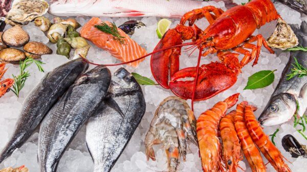 2019 Seafood Champion Awards Winners Announced 2