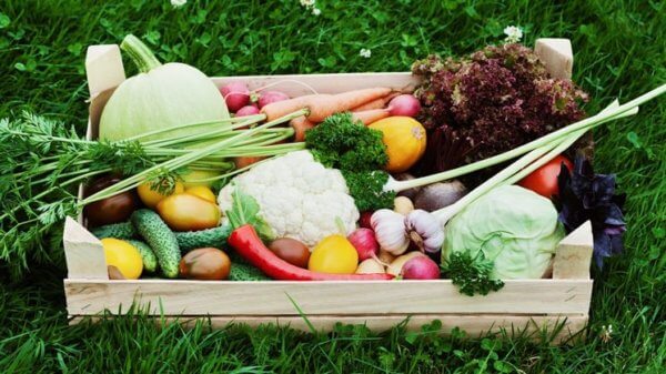 Affluent Food Shoppers More Likely to Purchase Natural and Organic Products 2