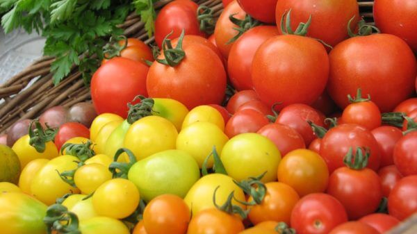 21 New and Noteworthy Food and Farming 4