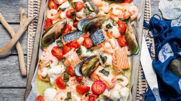 How seafood shells 6