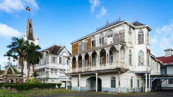 This Gorgeous Jungle Nation 4