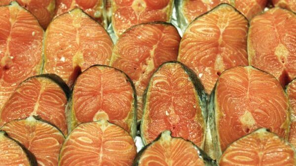 Protein mania: the wealthy international’s new weight-reduction plan obsession 2