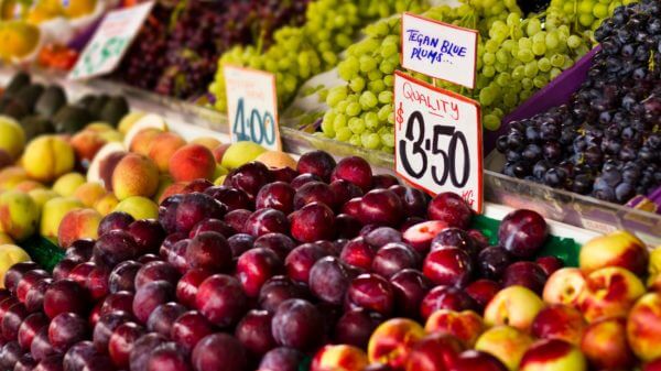 Organic produce intake lowers pregnant girls’s exposure to some pesticides, small take a look at indicates 3