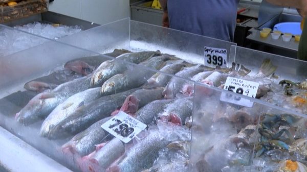 Gov. Bryant backs DMR assertion that seafood caught locally offshore is safe to devour 9
