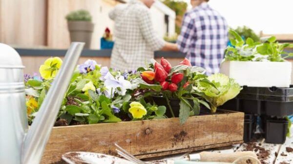 Restoring Native American Health with Indigenous Foods 1