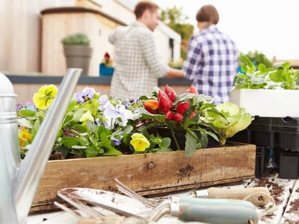 Restoring Native American Health with Indigenous Foods 7