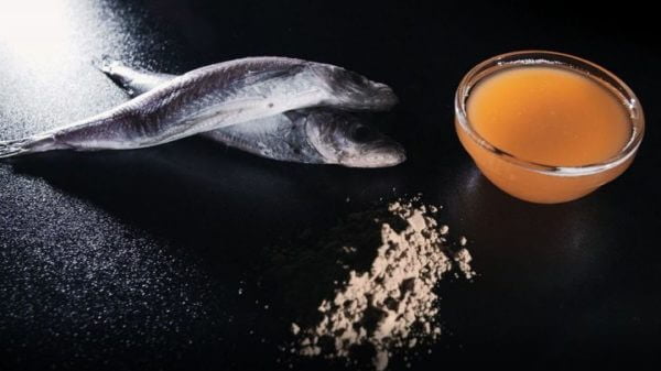 Sea-Food Market Research Report Industry Forecast in-depth Insight of 2014-2026 1