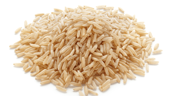 Rice Protein Market Assessment Covering Growth Factors and Upcoming Trends till 2028 End 5