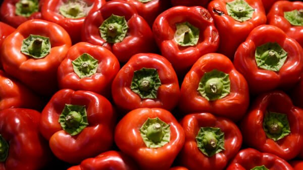 Lawsuit Accusing Whole Foods of Overcharging Is Thrown Out 4