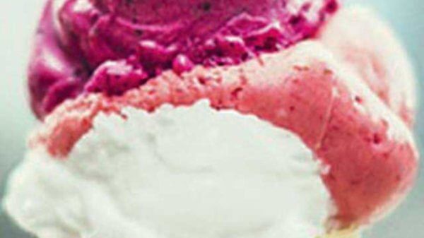 Dumont plans ice cream facility in Hyderabad to meet South India call for 6