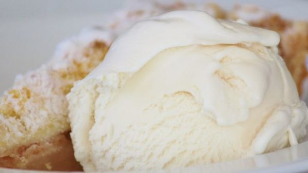 Cork-Born Biotech Company Introduces Dairy Free, Hi-Protein Ice-Cream 6