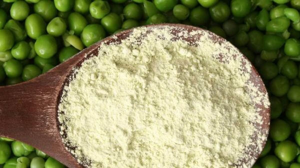 Pea Protein Powder: Nutrition, Benefits and Side Effects 4