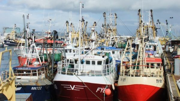 ‘Smart boats’, AI may want to revolutionise UK fishing, seafood industries 6