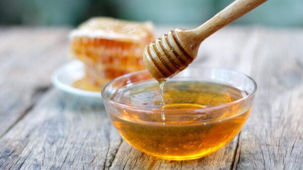 Organic Honey - Is it safe for consumption? 6