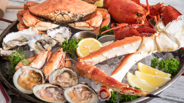 20+ Amazing Sea Food Recipes That Are Easy To Make 3