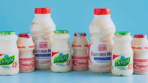 Boost Your Gut Health with Probiotic Drinks 4