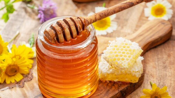 Fast Food’s Sweet Precision: How Quality Natural Honey Helps in Elevating Quick-Service Culinary Experiences 2